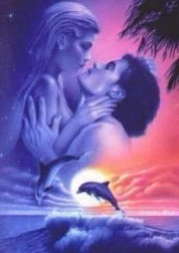 voilla la amour
